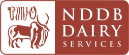 NDDB Dairy